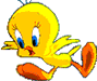 vogel vogel
