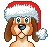 dog dog